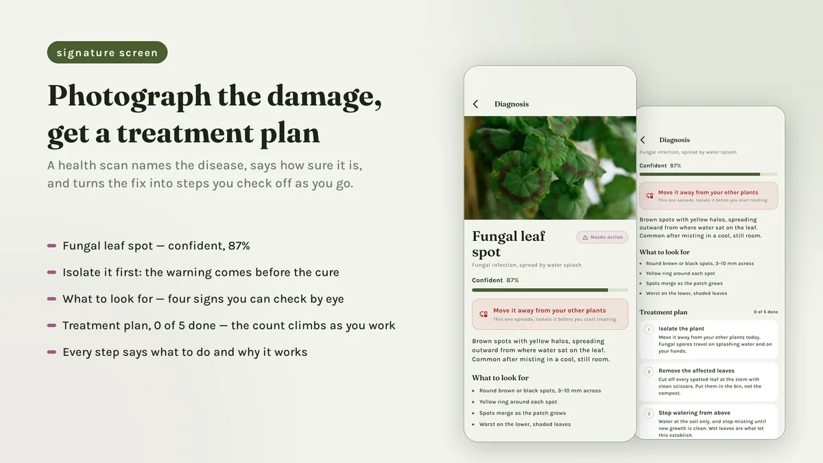 Health scan result with severity and a treatment checklist — Sprigora